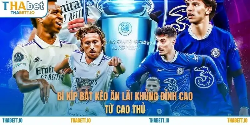 Bí kíp bắt kèo ăn lãi khủng đỉnh cao từ cao thủ 