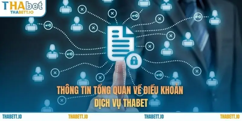 Thông tin tổng quan về điều khoản dịch vụ THABET